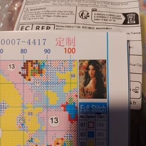 Elegant Lady Cross Stitch Pattern with Color Guide